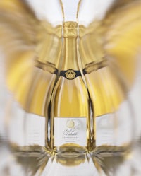 a bottle of champagne on a white background